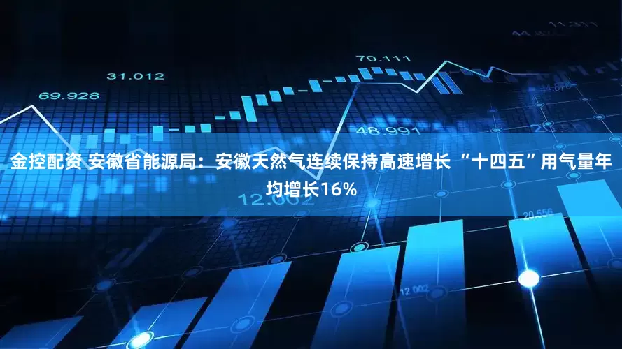 金控配资 安徽省能源局：安徽天然气连续保持高速增长 “十四五”用气量年均增长16%