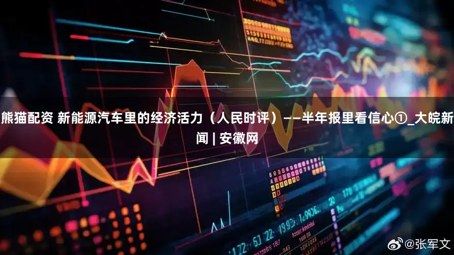 熊猫配资 新能源汽车里的经济活力（人民时评）——半年报里看信心①_大皖新闻 | 安徽网