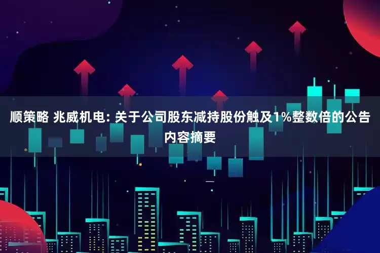 顺策略 兆威机电: 关于公司股东减持股份触及1%整数倍的公告内容摘要